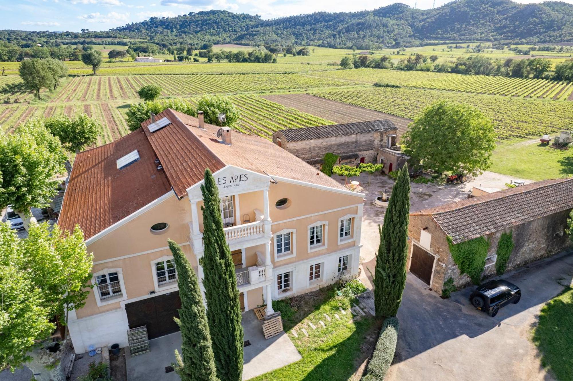 Gite Vert D'Olive Au Milieu Des Vignes - Chateau Les Apies Les Arcs-sur-Argens Dış mekan fotoğraf