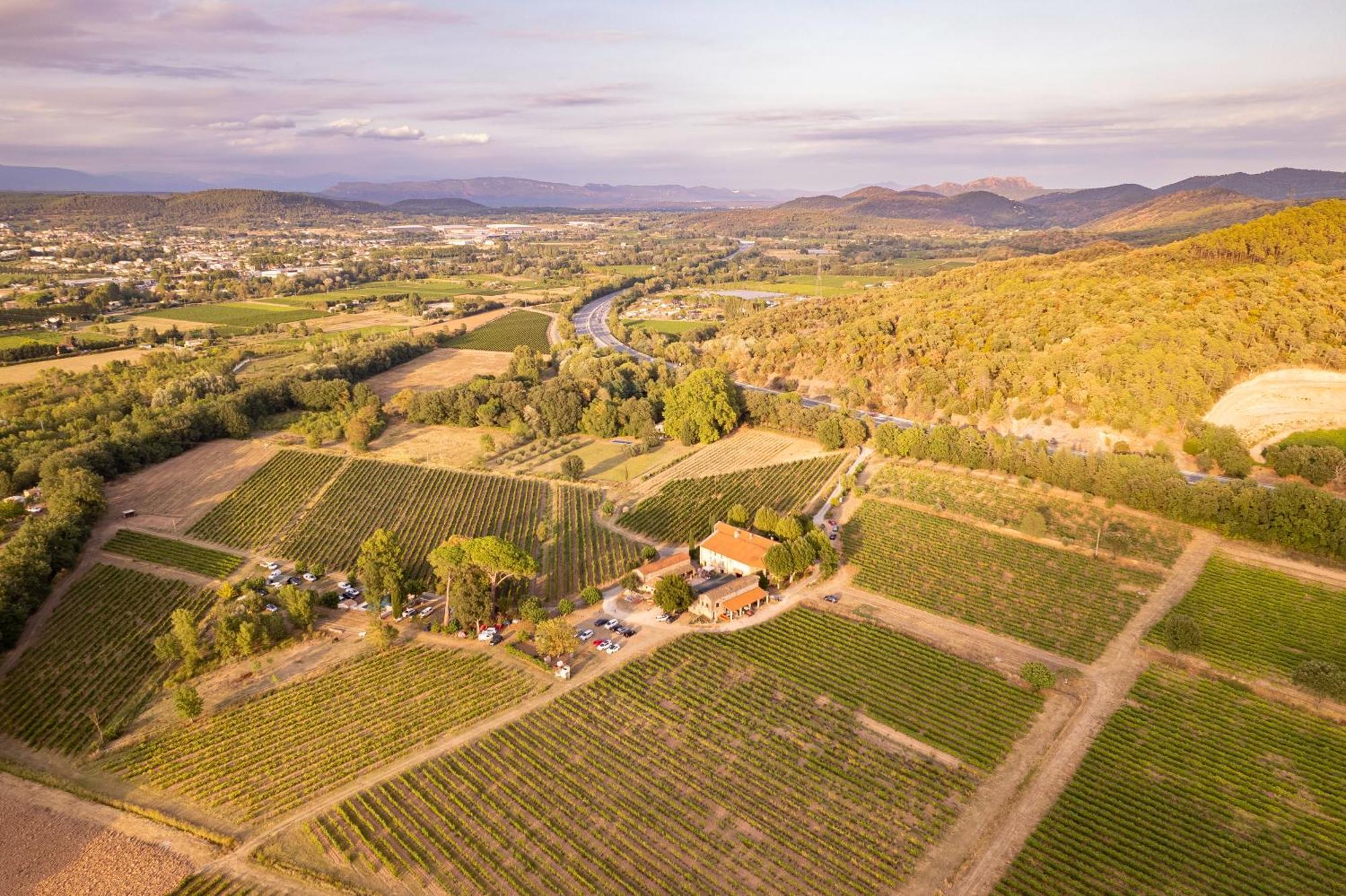 Gite Vert D'Olive Au Milieu Des Vignes - Chateau Les Apies Les Arcs-sur-Argens Dış mekan fotoğraf